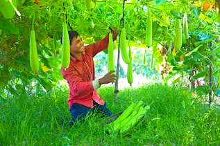 Entreprender contre la pauvreté